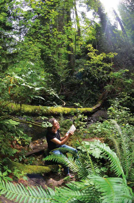 Me sketching in Byrne Creek Ravine (photo courtesy the Burnaby Now)