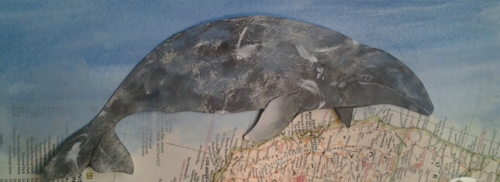 Gray whale migration (Collage, artist: Robi Smith)